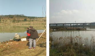 區(qū)畜牧局開展春季漁政巡查，保障畜牧漁業(yè)飼料銷售安全