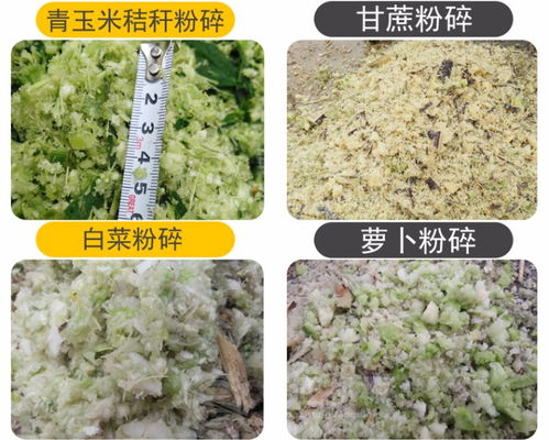 小型牧草切草機(jī) 多功能家用鍘草機(jī)與玉米秸稈揉絲機(jī)報價指南