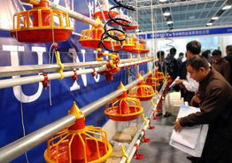 2003中國(guó)畜牧業(yè)暨飼料工業(yè)交易會(huì) 推動(dòng)行業(yè)發(fā)展的盛會(huì)