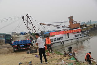 固鎮(zhèn)縣畜牧獸醫(yī)水產(chǎn)局積極開(kāi)展?jié)O業(yè)資源增殖人工放流活動(dòng) 助力畜牧漁業(yè)飼料銷售新篇章