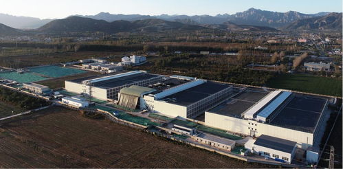 豐收時(shí)節(jié)譜新篇 2024中國(guó)農(nóng)民豐收節(jié)聚焦畜牧水產(chǎn)品質(zhì)提升與飼料銷售新動(dòng)能